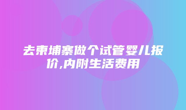 去柬埔寨做个试管婴儿报价,内附生活费用