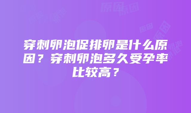 穿刺卵泡促排卵是什么原因？穿刺卵泡多久受孕率比较高？