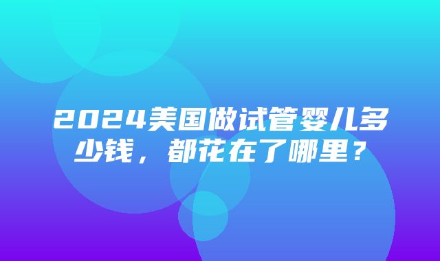 2024美国做试管婴儿多少钱，都花在了哪里？