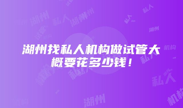 湖州找私人机构做试管大概要花多少钱！