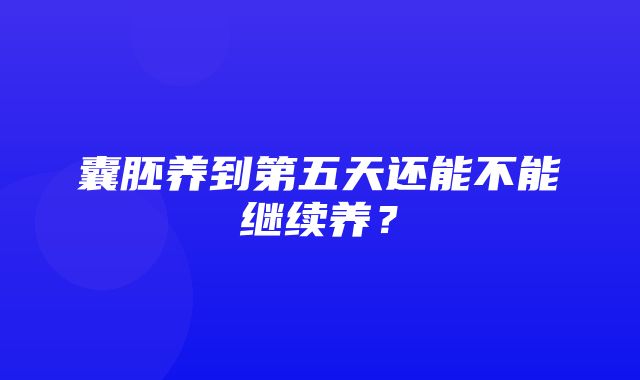 囊胚养到第五天还能不能继续养？