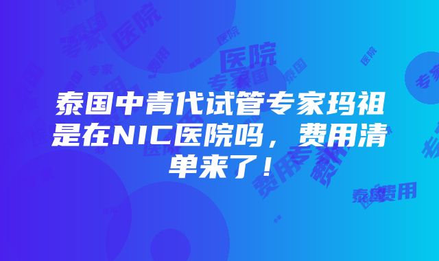 泰国中青代试管专家玛祖是在NIC医院吗，费用清单来了！