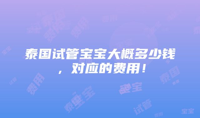 泰国试管宝宝大概多少钱，对应的费用！