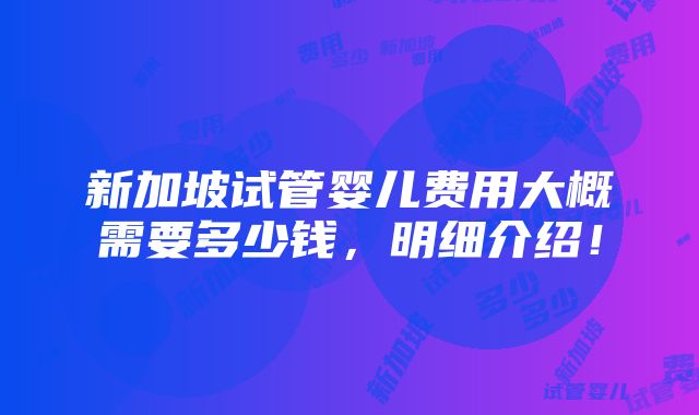 新加坡试管婴儿费用大概需要多少钱，明细介绍！