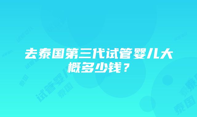 去泰国第三代试管婴儿大概多少钱？