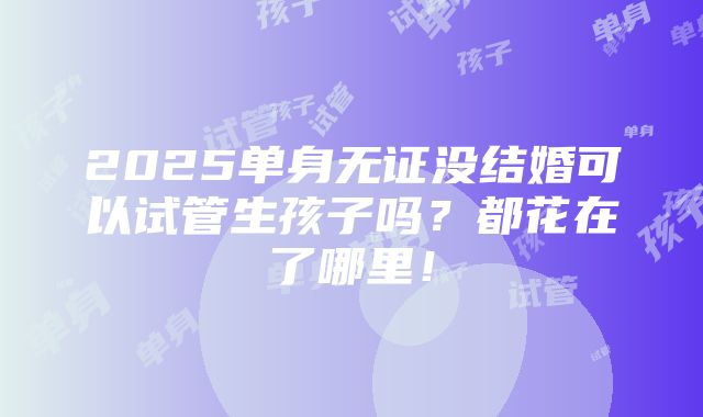 2025单身无证没结婚可以试管生孩子吗？都花在了哪里！