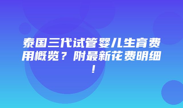 泰国三代试管婴儿生育费用概览？附最新花费明细！