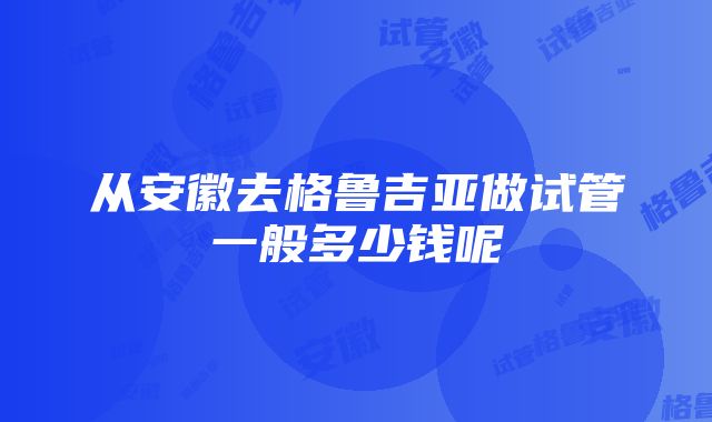 从安徽去格鲁吉亚做试管一般多少钱呢