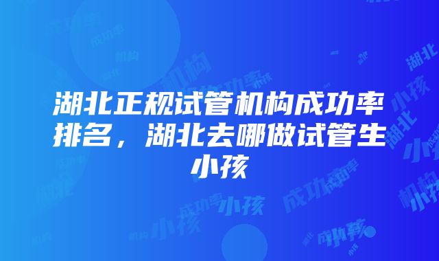 湖北正规试管机构成功率排名，湖北去哪做试管生小孩