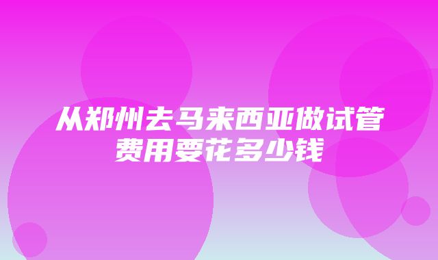 从郑州去马来西亚做试管费用要花多少钱