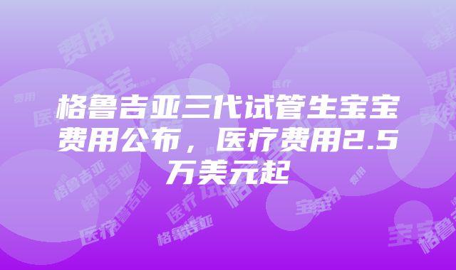 格鲁吉亚三代试管生宝宝费用公布，医疗费用2.5万美元起