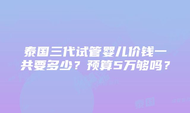 泰国三代试管婴儿价钱一共要多少？预算5万够吗？