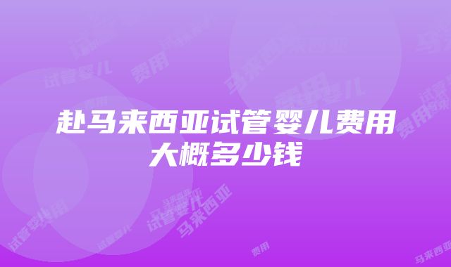 赴马来西亚试管婴儿费用大概多少钱