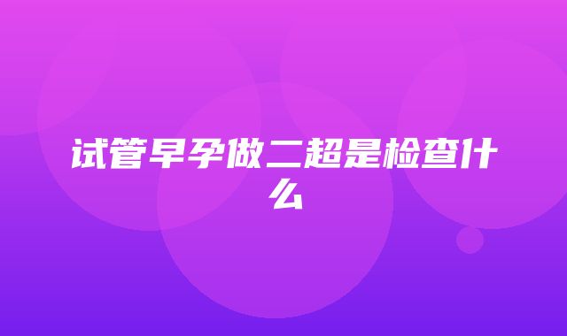 试管早孕做二超是检查什么