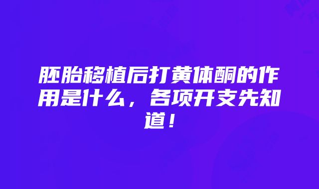 胚胎移植后打黄体酮的作用是什么，各项开支先知道！