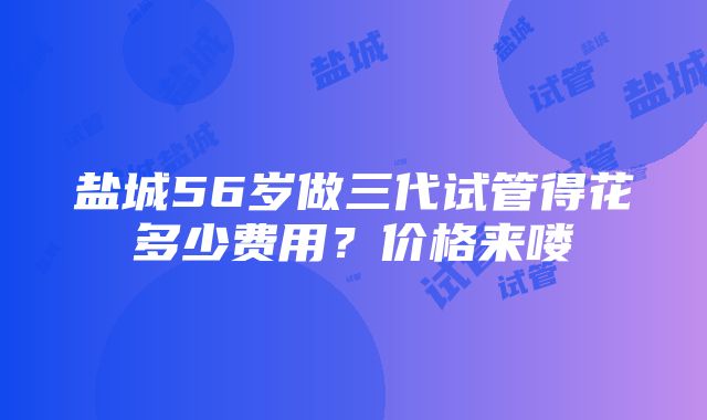 盐城56岁做三代试管得花多少费用？价格来喽