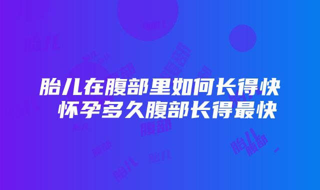 胎儿在腹部里如何长得快 怀孕多久腹部长得最快