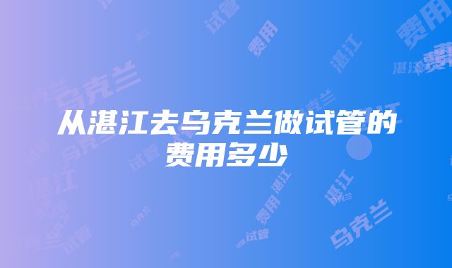 从湛江去乌克兰做试管的费用多少