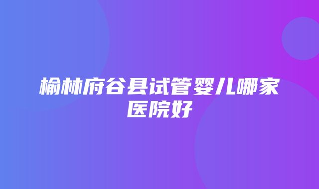 榆林府谷县试管婴儿哪家医院好