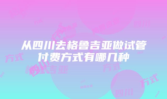 从四川去格鲁吉亚做试管付费方式有哪几种