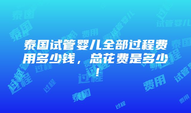 泰国试管婴儿全部过程费用多少钱，总花费是多少！