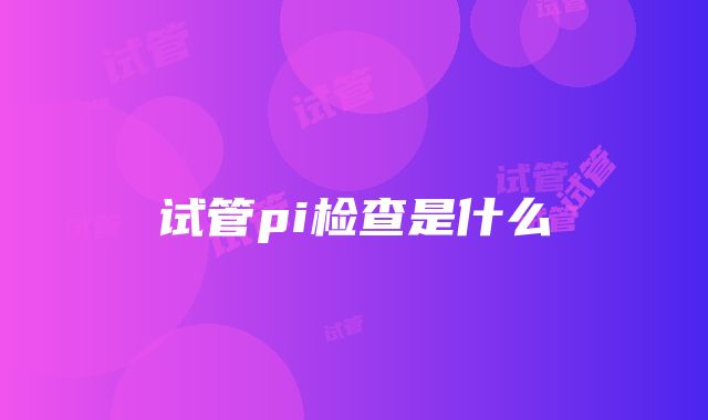 试管pi检查是什么