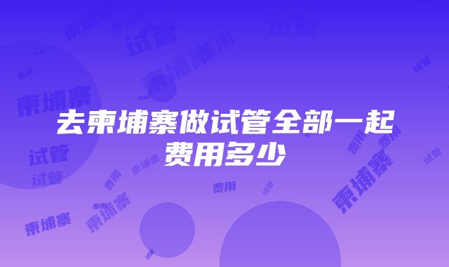 去柬埔寨做试管全部一起费用多少