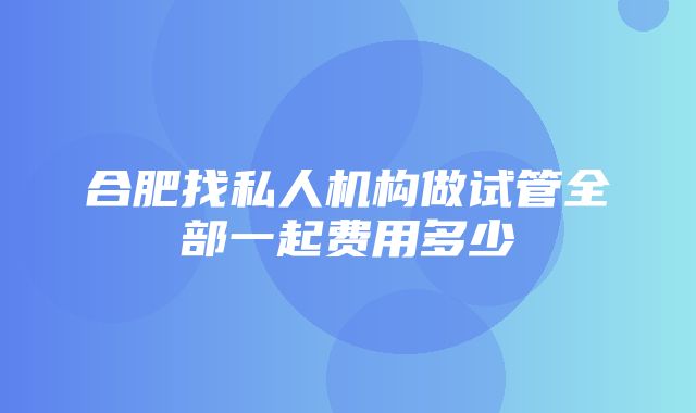 合肥找私人机构做试管全部一起费用多少