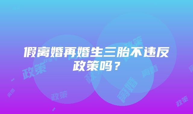 假离婚再婚生三胎不违反政策吗？