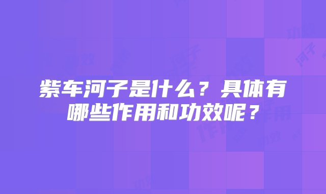 紫车河子是什么？具体有哪些作用和功效呢？