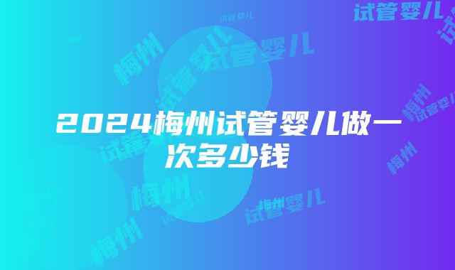 2024梅州试管婴儿做一次多少钱