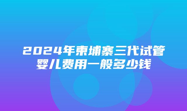 2024年柬埔寨三代试管婴儿费用一般多少钱