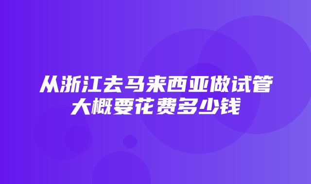 从浙江去马来西亚做试管大概要花费多少钱