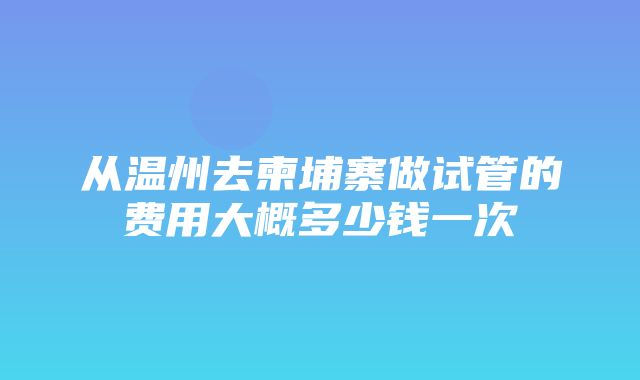 从温州去柬埔寨做试管的费用大概多少钱一次