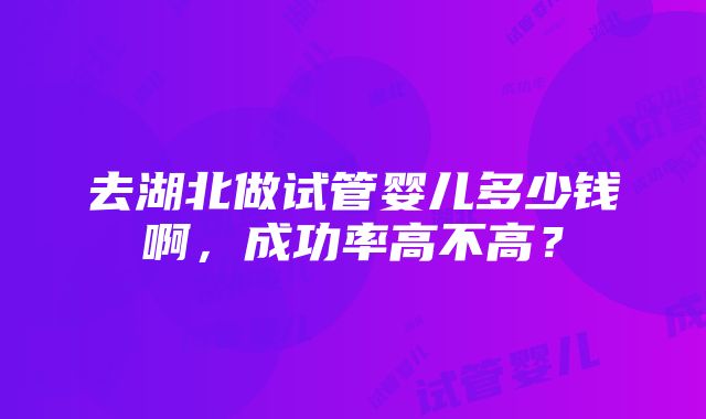 去湖北做试管婴儿多少钱啊，成功率高不高？