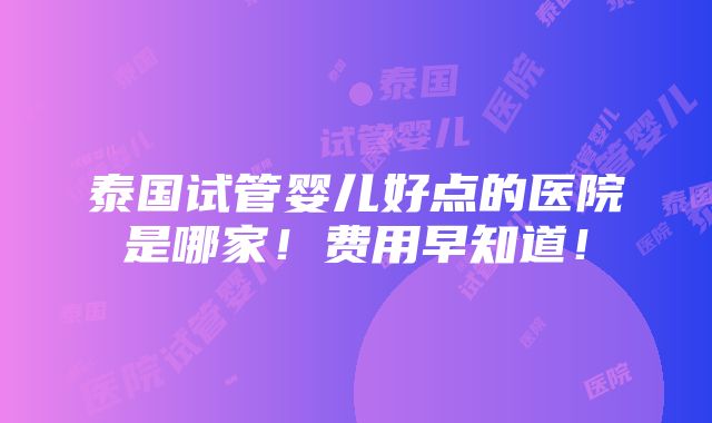 泰国试管婴儿好点的医院是哪家！费用早知道！