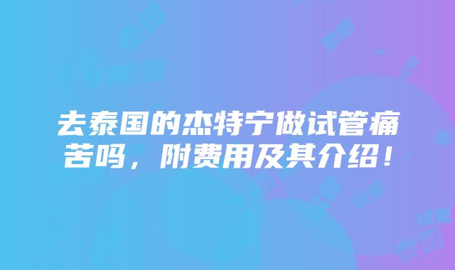 去泰国的杰特宁做试管痛苦吗，附费用及其介绍！