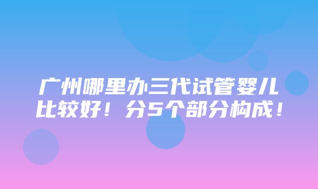 广州哪里办三代试管婴儿比较好！分5个部分构成！