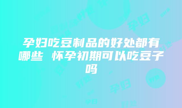 孕妇吃豆制品的好处都有哪些 怀孕初期可以吃豆子吗