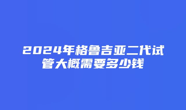 2024年格鲁吉亚二代试管大概需要多少钱