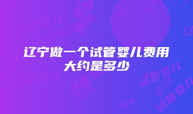 辽宁做一个试管婴儿费用大约是多少