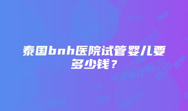 泰国bnh医院试管婴儿要多少钱？