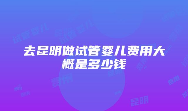 去昆明做试管婴儿费用大概是多少钱