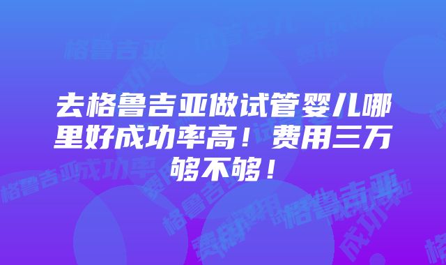 去格鲁吉亚做试管婴儿哪里好成功率高！费用三万够不够！