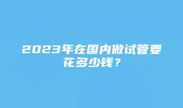 2023年在国内做试管要花多少钱？