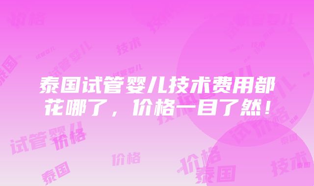 泰国试管婴儿技术费用都花哪了，价格一目了然！