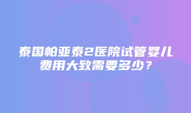 泰国帕亚泰2医院试管婴儿费用大致需要多少？