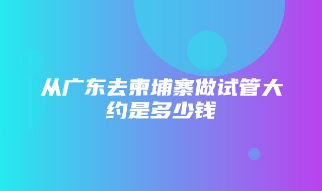 从广东去柬埔寨做试管大约是多少钱