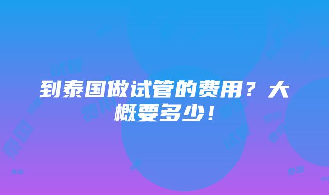 到泰国做试管的费用？大概要多少！