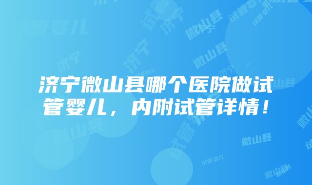 济宁微山县哪个医院做试管婴儿，内附试管详情！